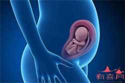 成都代孕联系QQ_代孕服务的微博_上海梦缘代怀孕网